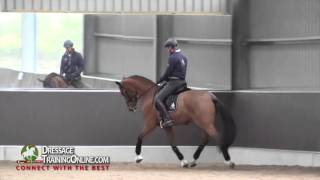 Dressage training with Garreth Hughes How to improve the trot [upl. by Emarej]