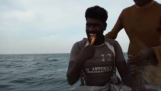 கடல் மேல நண்டு சமைப்பது எப்படி  How to cook crab over the sea [upl. by Phi411]