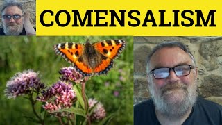 😎 Commensalism Meaning  Amensalism Defined  Symbiosis Examples  Mutualism Definition  Parasitism [upl. by Lister]