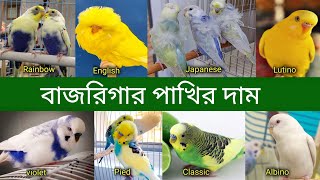 বাজরিগার পাখির দাম 2023 পাখি পালন  Budgerigar Bird price In Bangladesh and India 2023  Grow Life [upl. by Wilfreda864]