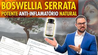 BOSWELLIA SERRATA quais os BENEFÍCIOS e COMO USAR com segurança [upl. by Enybor]