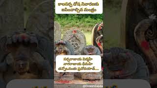 కాలసర్ప దోష నివారణ మంత్రం Kala sarpa Dosha nivarana Mantra viralvideo shorts snake lordshiva om [upl. by Blakelee306]