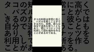 驚愕の海の知能者たち！タコからイルカまでの驚きの脳力とは？ [upl. by Ydarg961]