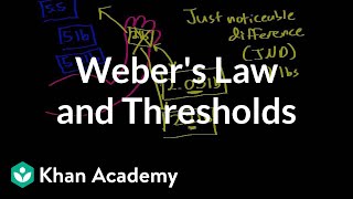 Webers law and thresholds  Processing the Environment  MCAT  Khan Academy [upl. by Ravahs]