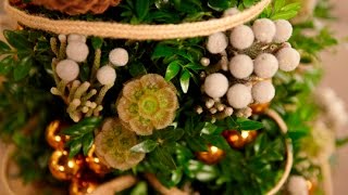 Decorate a Boxwood Miniature Christmas Tree [upl. by Charla]