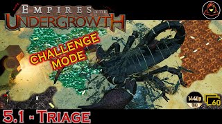 Empires of the Undergrowth  51  Triage Challenge Mode [upl. by Collimore]