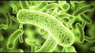 Role of Bacteria in Agriculture  Adhyan Academy [upl. by Justino]