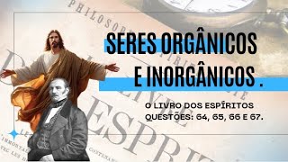 SERES ORGÂNICOS E INORGÂNICOS  VICTOR HUGO [upl. by Ashlen]