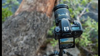 Nikon D7500 Full Features  Why its Best For You [upl. by Barret]