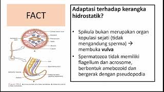 BSA NEMATODA [upl. by Stralka656]