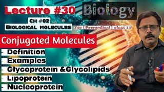 Conjugated molecules  Glycoprotein amp Glycolipids  Lipoprotein Nucleoprotein  Biology class 11 [upl. by Ikcaj]