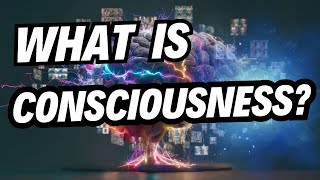 What is consciousness EXPLAINED [upl. by Ez]