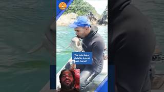 Rescue Team Dolphin fishing dolphinlove fish shark animals bigfish feelgood dolphin cute [upl. by Gnal]