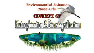 Concept of Eutrophication and Bio magnification  Water Pollution environmentalsciences JKBOse 12 [upl. by Hermine]