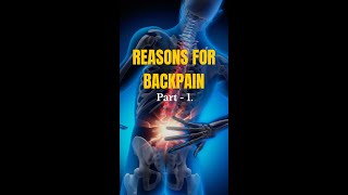 Are you struggling with back pain backpainreasons backpainsolutions backpainrehab backpainfacts [upl. by Ramedlav]