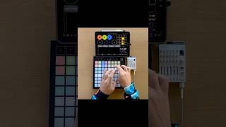 Chill beats live looping workflow test with Launchpad X Loopy Pro amp TX6 shorts [upl. by Rattray]