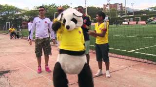 Baile Selección Colombia  Baila Chu Chu Reggaeton  Yerson y Stuard quotLos Farandulaysquot [upl. by Wolgast31]