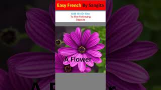 French Practice Test Of IndefiniteArticlesGuess Un ampUne Of The Following Nouns shortbeginners [upl. by Anyd420]