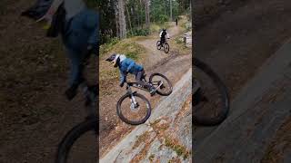 Nesbyen trail center🚲🚲mtb shortvideo canyonbikes downhill mountainbike sendit [upl. by Ailes]