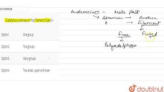 Diadelphous androecium has filaments fused in [upl. by Atok472]