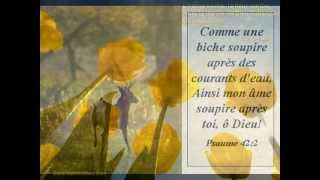 Chant chrétien avec paroles « Lamour de Dieu a fait fondre mon cœur » [upl. by Mashe]