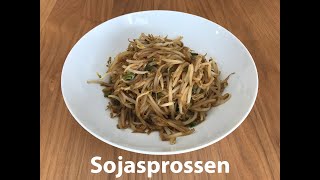 Sojasprossen in 5 min  Chinesisches Essen  Einfach schnell und lecker [upl. by Cates]