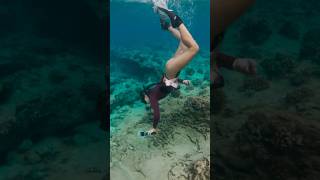 Diver girl finds shell in the reef shorts [upl. by Assanav]