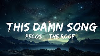 Pecos amp The Rooftops  This Damn Song Lyrics  15p LyricsLetra [upl. by Yelssew]