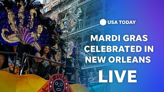 Watch New Orleans celebrates morning Mardi Gras festivities [upl. by Lambard334]