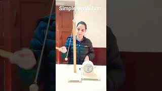 Class 11 Pratical Physics  Simple Pendulum [upl. by Akeirahs321]