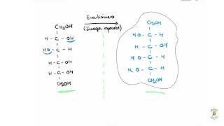 Tipos de isomería plana espacial y óptica [upl. by Hagerman]