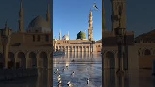 Seyyed abdul wasi qadri razvi naat shorts new viralvideo [upl. by Einaj]