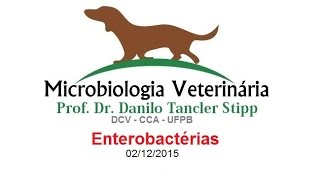 Micro Vet 20151 Aula 14  Enterobactérias [upl. by Yrellav]