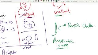 ceutics 2 ASU lesson1 [upl. by Eissolf]