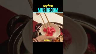 What will happen if you eat deadly mushrooms movie mushroom explained [upl. by Olim]