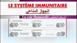 Le système immunitaire ملخص درس  réponse immunitaire spécifique à voie humorale [upl. by Gney]