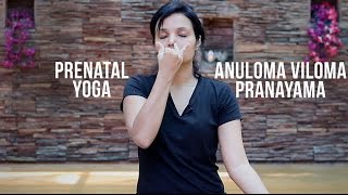 Prenatal Yoga How to do Anuloma Viloma Pranayama [upl. by Florentia]