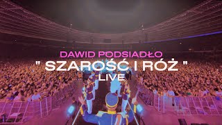 Dawid Podsiadło  Szarość i Róż Chorzów 25062022 [upl. by Duhl]