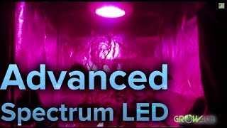 REVIEW 450w LED Advance Spectrum MAX Modular Grow Light [upl. by Trish160]