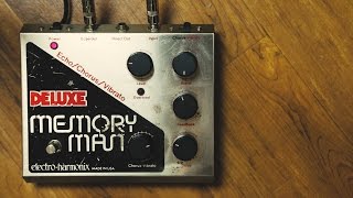 ElectroHarmonix Deluxe Memory Man [upl. by Gitt]