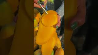 Seedless Mangoes from Thailand [upl. by Oriel181]