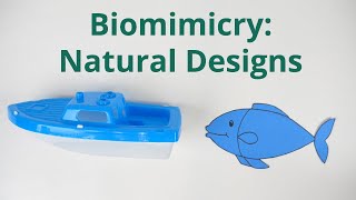 Biomimicry Natural Designs [upl. by Cathryn382]