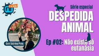 02 DESPEDIDA ANIMAL não existe só eutanásia [upl. by Lorolla]