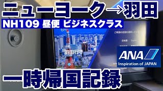 【一時帰国記】ニューヨーク→東京2023・夏 ANA ビジネスクラス The Room [upl. by Letnohc455]