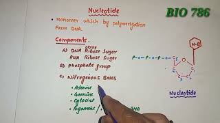 Nucleotide  Composition  purines amp pyrimidines [upl. by Dagny]