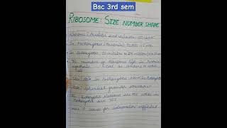 Bsc 3rd sem zoology assignment topic ribosomes msubsc2nd year [upl. by Tedric240]