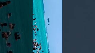 Drug Boat Busted by USCG and Police on South Beach Demo at Hyundai Air and Sea Show 2024 airshow [upl. by Celie63]