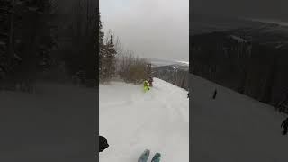 POWDER SKIING ski snow shredthegnar [upl. by Svend]