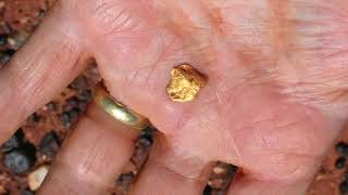 Laverton WA Gold Detecting [upl. by Yuji]