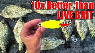 this New Lure OUT FISHES Live Bait 10 to 1 BEST Crappie amp Bass Winter Bait [upl. by Dleifyar509]